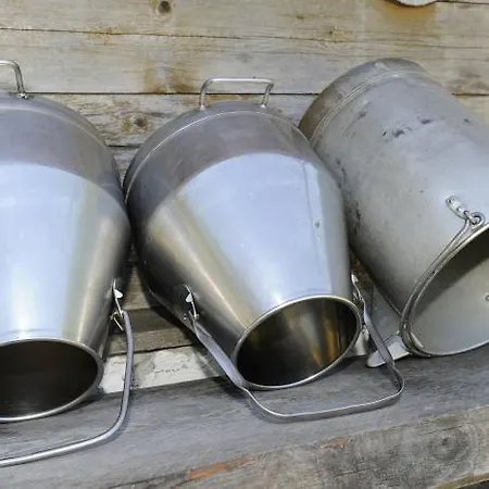 Urlaub Am Raderhof In Der Ferienregion Lungau Mauterndorf (Salzburg)