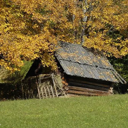 Urlaub Am Raderhof In Der Ferienregion Lungau Mauterndorf (Salzburg)
