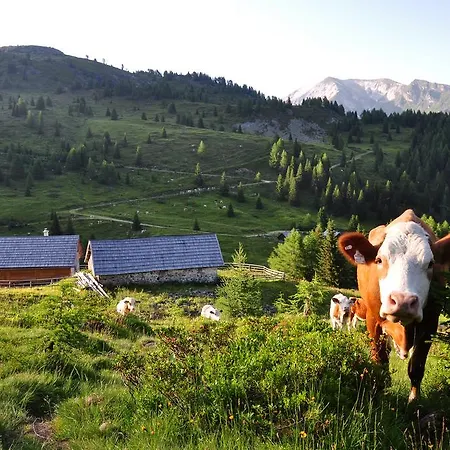 Urlaub Am Raderhof In Der Ferienregion Lungau Mauterndorf (Salzburg)