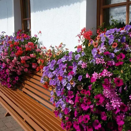 Urlaub Am Raderhof In Der Ferienregion Lungau Apartment *