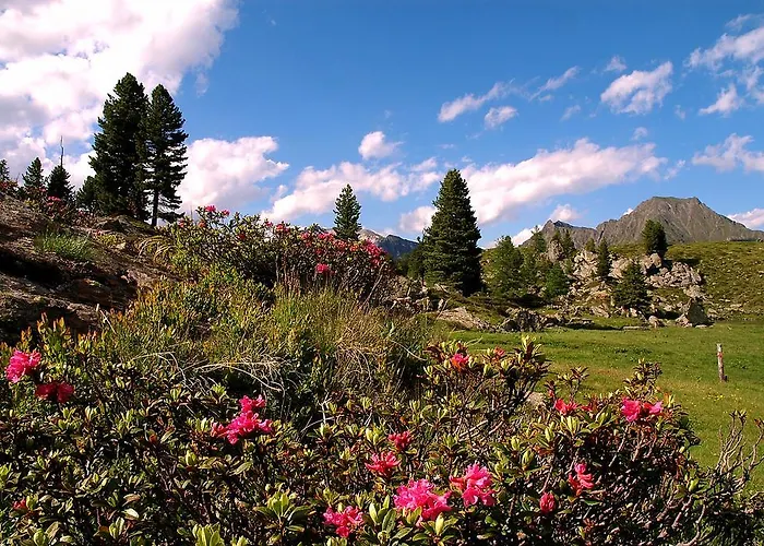 Apartment Urlaub Am Raderhof In Der Ferienregion Lungau *