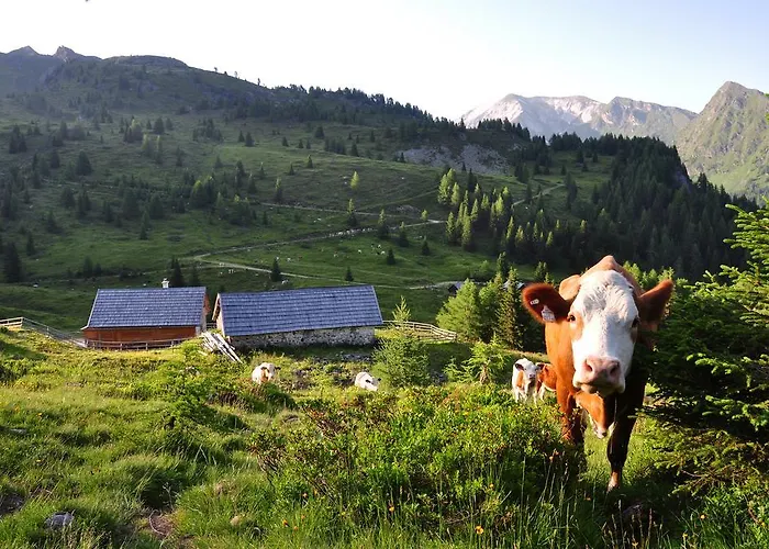 Urlaub Am Raderhof In Der Ferienregion Lungau Mauterndorf (Salzburg)